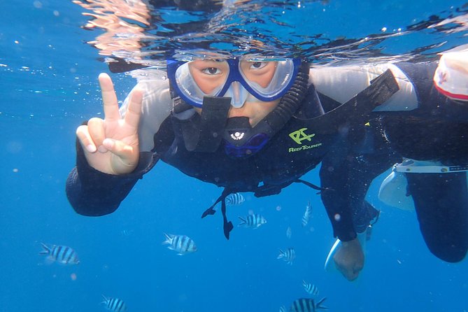 Snorkeling in the Blue Cave area【Okinawa Prefecture: Free feeding & photo images!English and Chinese speaking guide available! - Safety rules and who should rethink this tour
