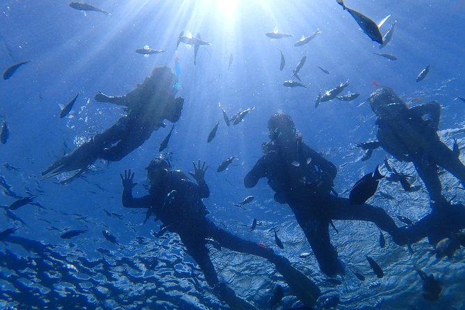 Snorkeling in the Blue Cave area【Okinawa Prefecture: Free feeding & photo images!English and Chinese speaking guide available! - Cape Maeda start, why the practice matters before you go anywhere fancy
