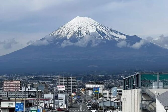 Snow Monkey Park and Miso Production Tour Bullet Train from Tokyo - Price and Value: What You Are Paying For