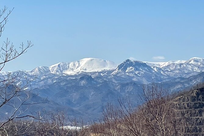 Snowshoeing and Onsen Adventures in a Winter Wonderland -Sapporo. - Key highlights you will actually feel on the day