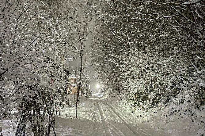 Snowshoeing and Onsen Adventures in a Winter Wonderland -Sapporo. - Difficulty Level 4/10: Who This Snowshoe Day Fits Best