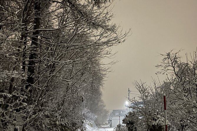 Snowshoeing and Onsen Adventures in a Winter Wonderland -Sapporo. - Price And Value: Is $224.02 Worth It in a Cold-Weather City?