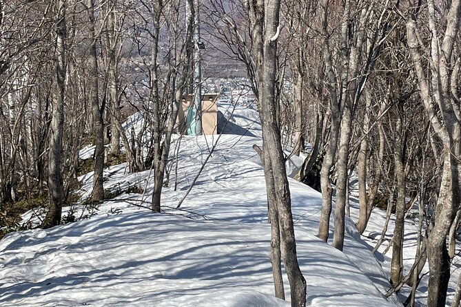 Snowshoeing and Onsen Adventures in a Winter Wonderland -Sapporo. - Should You Book This Snowshoeing And Onsen Adventure?