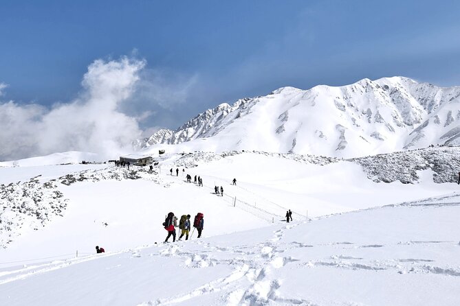 (Spring Only) 1-Day Snow Walls of Tateyama-Kurobe Alpine Route Tour - Who this tour suits best