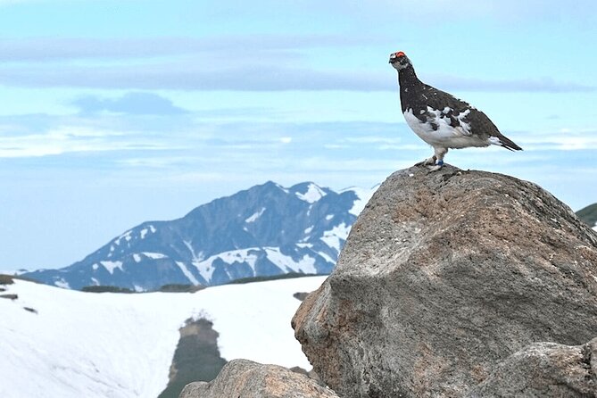 (Spring Only) 1-Day Snow Walls of Tateyama-Kurobe Alpine Route Tour - Getting to the high start: Nagano Station at 8:15
