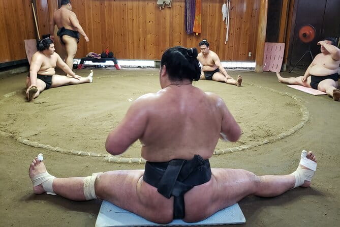 Sumo Practice Viewing Guided Tour and Photo with Sumo Wrestlers - Quick hits: what makes this Tatsunami-beya tour worth it