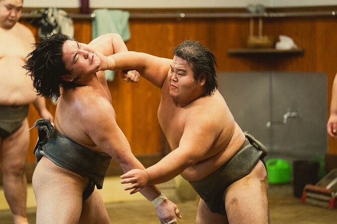 Sumo Wrestlers Morning Practice Tour – Tokyo Sumida District - Key Points Worth Getting Up Early For