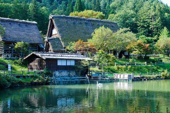 Takayama Half-Day Private Tour with Government Licensed Guide - Festival Forest and the float halls: the stories behind the yatai