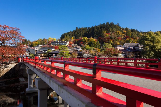 Takayama Old Town Walking Tour with Local Guide - Timing Tips: Trains, Luggage, and Weather