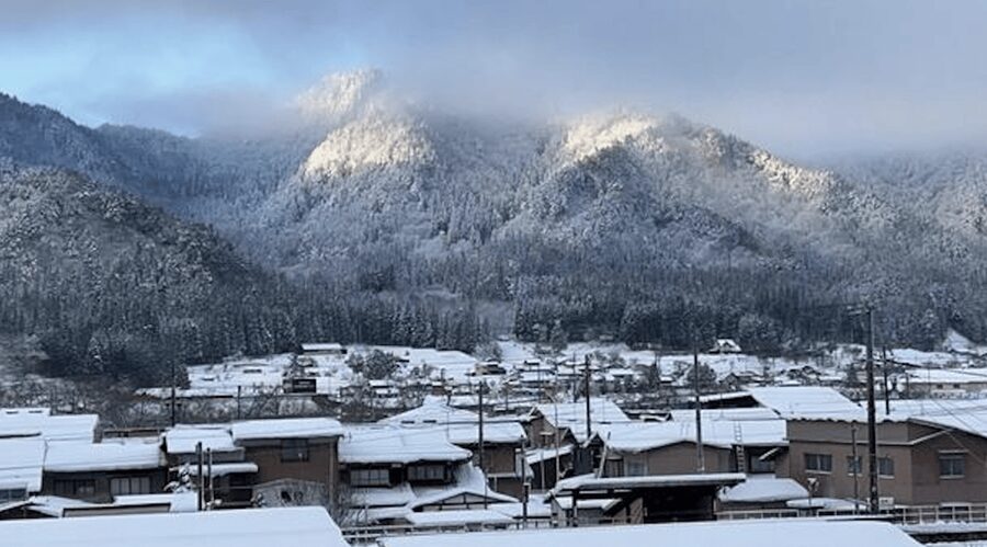 Takayama Private Custom Tour with Local Guide - Transportation and timing for a 4 to 6 hour day