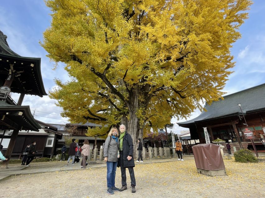 Takayama: Private Walking Tour with a Local Guide - Your private guide: pace, English fluency, and real-world tips