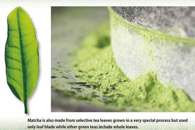 Tea Ceremony Workshop in Tokyo by the Experienced Instrucor - Koicha: Learn the Formal Flow, Then Taste the Strong Matcha