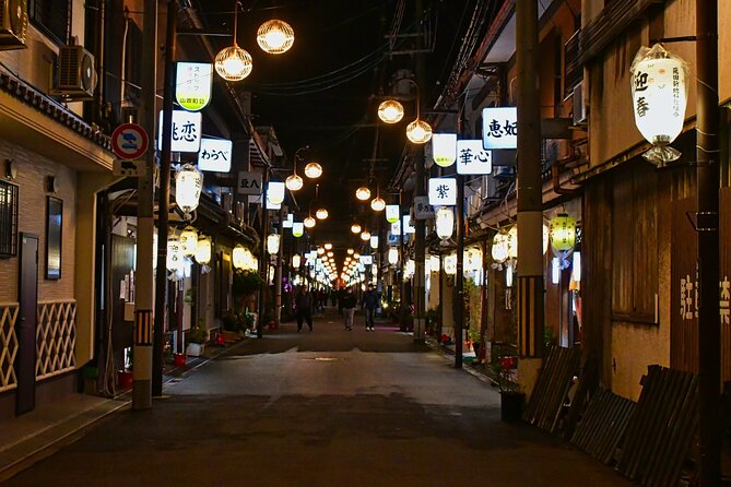 The Dark Side of Osaka Walking Tour - Tobita Shinchi: red-light district context, architecture, and rules