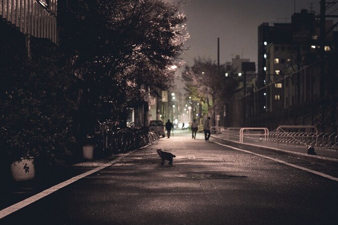 The Dark Side of Osaka Walking Tour - Who should book, and who should skip