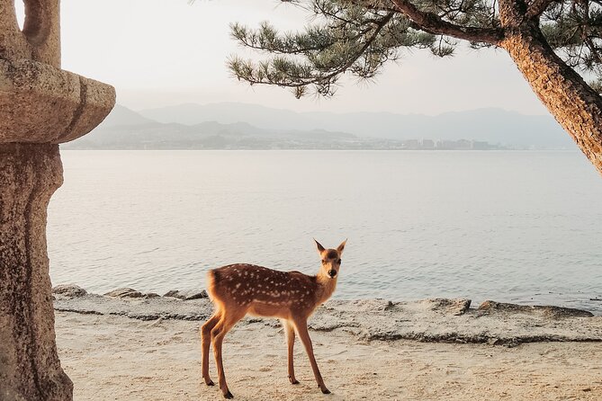 The Peace Memorial to Miyajima : Icons of Peace and Beauty - A Small-Group Day That Links Hiroshima Peace Memorial and Miyajima