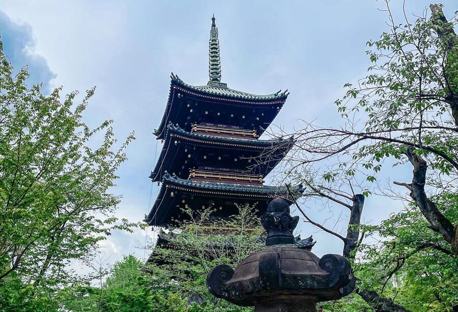 Tokio A: Tour de la ciudad en Español - Spanish - Key things to know before you go