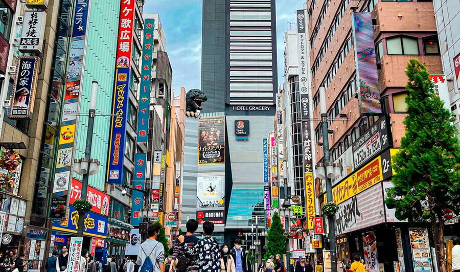 Tokio A: Tour de la ciudad en Español - Spanish - Lunch at Ueno, built into the pacing