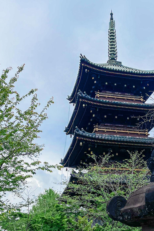 Tokio A: Tour de la ciudad en Español - Spanish - Transportation, timing, and the real cost of convenience