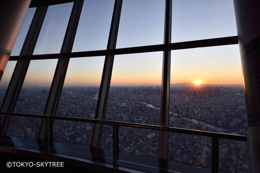 Tokyo: 1 Day Bus Tour with Meiji-Jingu,Odaiba,lunch&Skytree - Should you book this Tokyo day bus tour?