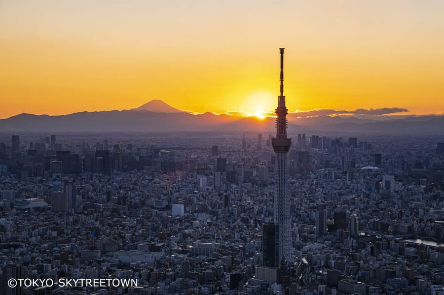Tokyo: 1 Day Bus Tour with Meiji-Jingu,Odaiba,lunch&Skytree - Imperial Palace Plaza Photos and Tokyo Tower Views