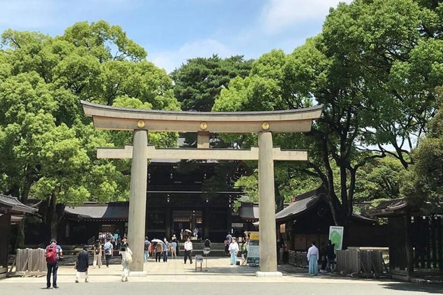 Tokyo: 1 Day Bus Tour with Meiji-Jingu,Odaiba,lunch&Skytree - Odaiba Waterfront Break for Rainbow Bridge and Shopping