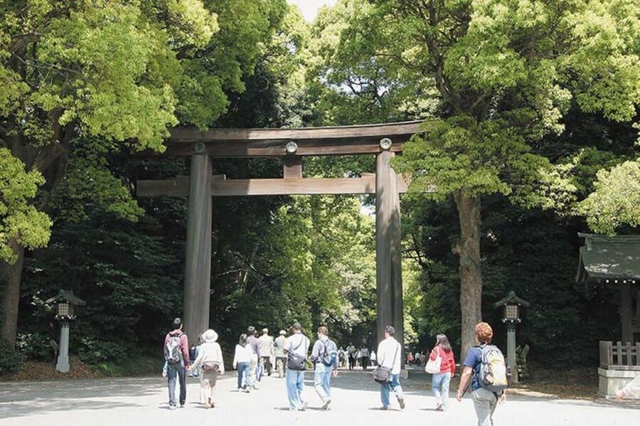 Tokyo: 1 Day Bus Tour with Meiji-Jingu,Odaiba,lunch&Skytree - Asakusa and Senso-ji, plus Nakamise Street Snacks