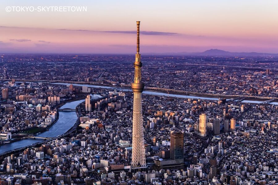 Tokyo: 1 Day Bus Tour with Meiji-Jingu,Odaiba,lunch&Skytree - Meiji-Jingu Calm and a Casual Tea Moment