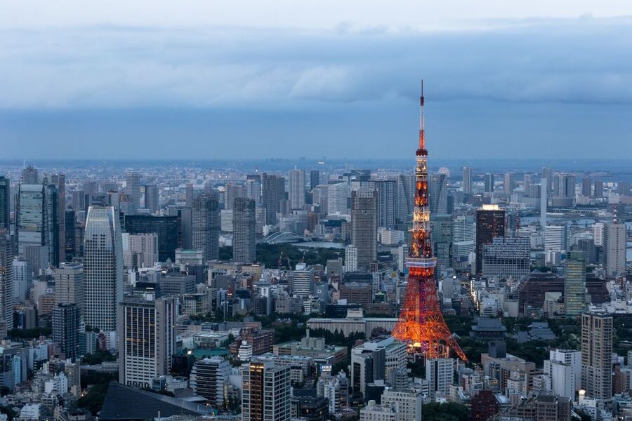 Tokyo: 1-Day Private Customizable Tour by Car - Key highlights at a glance