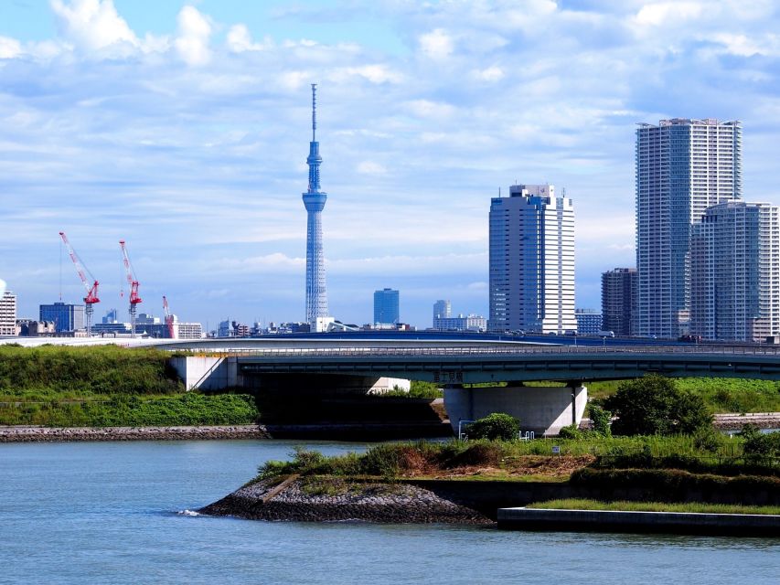 Tokyo: 1-Day Private Customizable Tour by Car - Tickets, food, and car rules that affect your day