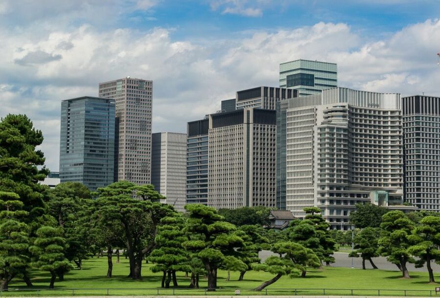 Tokyo: 1-Day Private Customizable Tour by Car - Who should book this Tokyo private day tour?