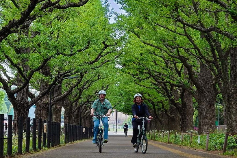 Tokyo: 3h Private E-bike Tours, Starting at Your Hotel - Hotel Lobby Pickup: Starting and finishing where you stay