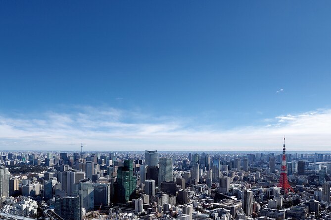 Tokyo 6hr Instagram Highlights Private Tour with Licensed Guide - Yoyogi Park, Roppongi Hills, and Odaiba for Modern Tokyo Views