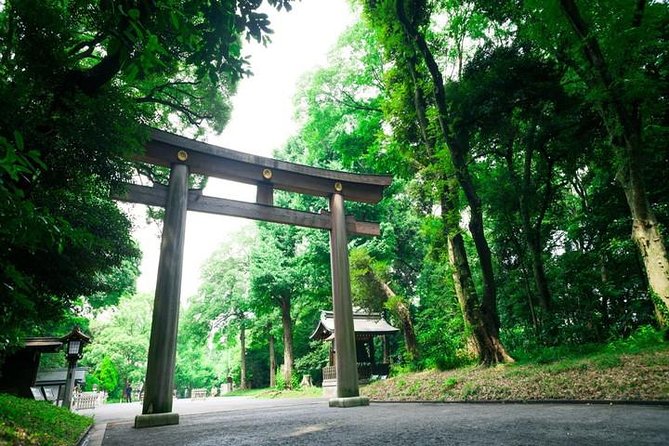 Tokyo 6hr Private Tour with Government-Licensed Guide - FAQ
