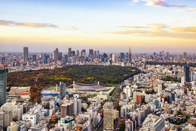 Tokyo 8hr Private Tour with Licensed Guide from Yokohama - Yokohama to Tokyo, the easy way to skip the stress