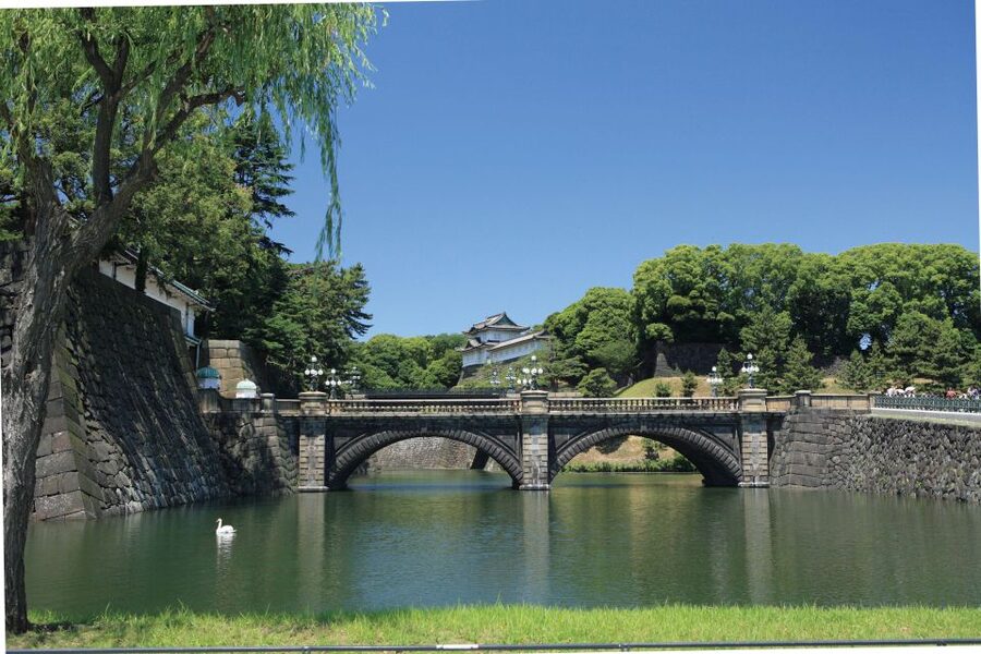 Tokyo: A Half-Day Trip Bus Tour in the Morning - Why This Morning Tokyo Loop Makes Sense