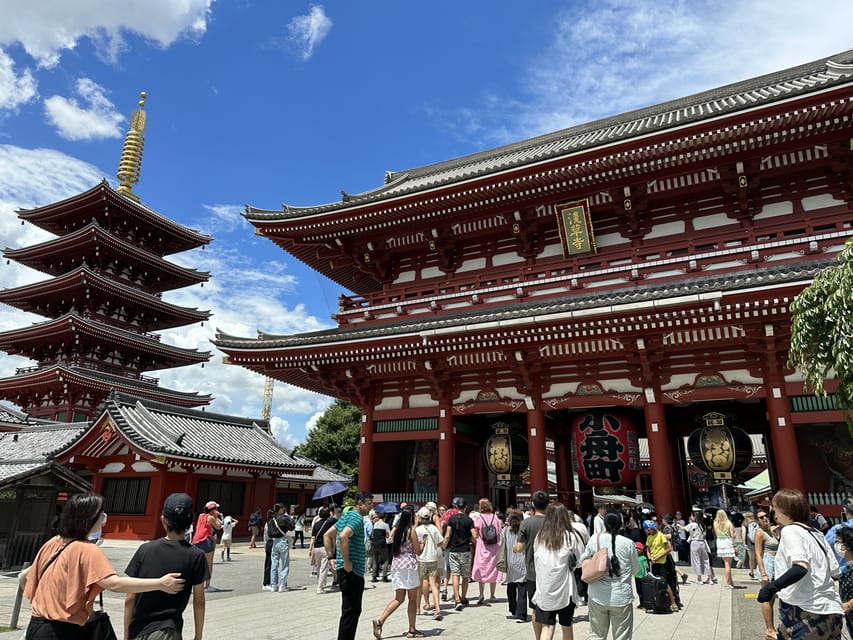 Tokyo: A Half-Day Trip Bus Tour in the Morning - Price and What You Get for $40