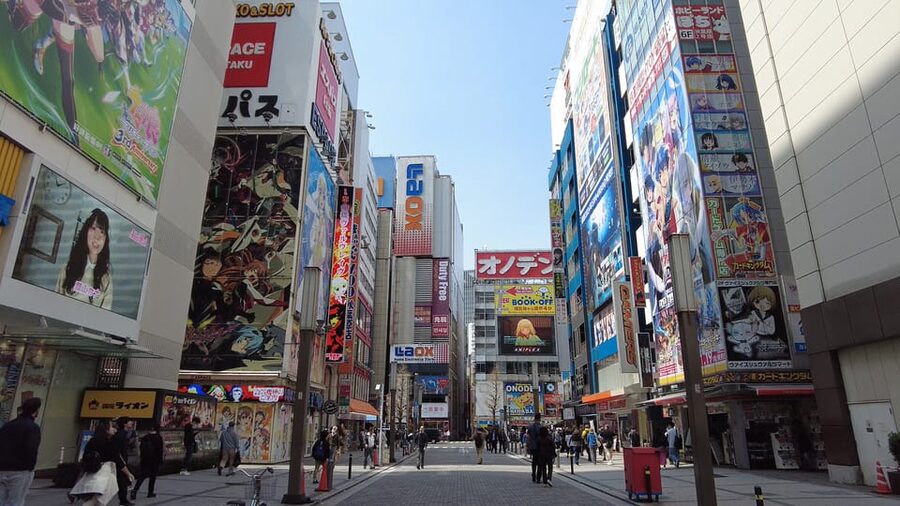 Tokyo Akihabara, Anime, Manga, Video Games & Maid Cafe Tour - First steps in Akihabara: from Electric Town to anime floors