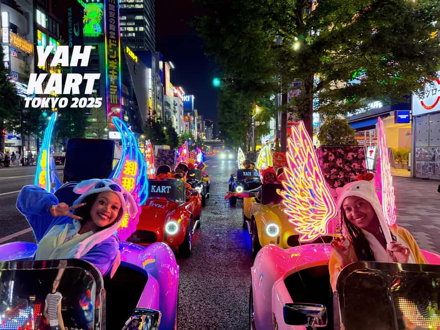 Tokyo: Akihabara/Asakusa Go-Karting Tour (including guide) - License paperwork: the part you cannot skip