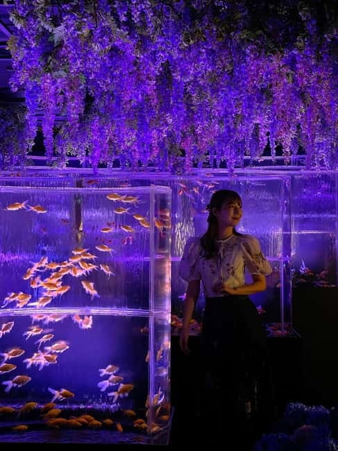 Tokyo: Art Aquarium Museum GINZA Entry Ticket - Key things to know before you go