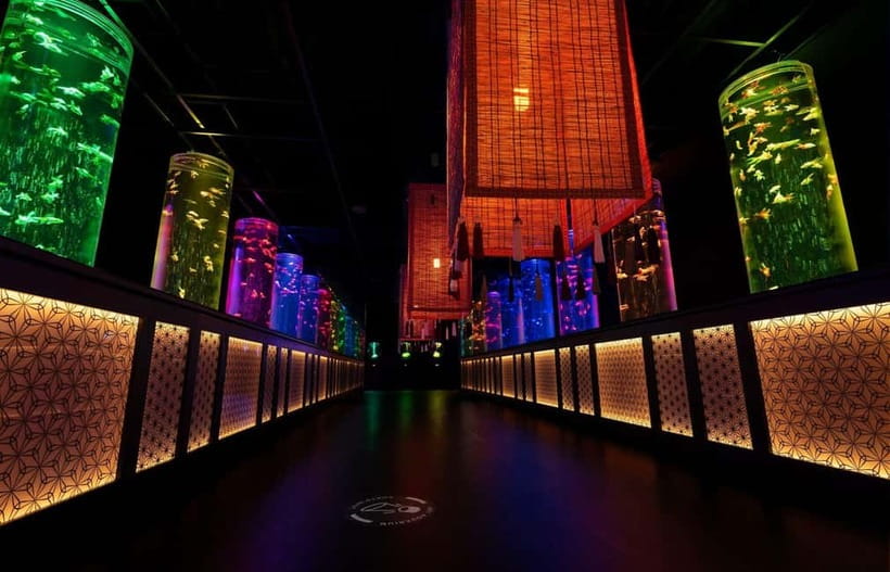 Tokyo: Art Aquarium Museum GINZA Entry Ticket - Goldfish displays and spatial design: where the art magic happens