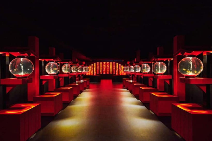 Tokyo: Art Aquarium Museum GINZA Entry Ticket - Photo rules, best timing, and avoiding the crowd stress
