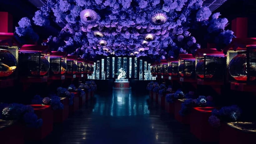 Tokyo: Art Aquarium Museum GINZA Entry Ticket - Should you book Art Aquarium Museum GINZA Entry Ticket?