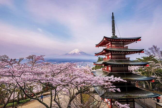Tokyo Asakusa Temple & Shrine Walking Tour with Local Guide - Hozomon Gate and the temple grounds layout