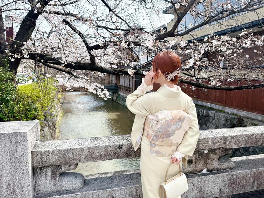 Tokyo Asakusa: Traditional Kimono Rental Experience at Wargo - Premium plan and hairstyling upgrades: when it is worth paying more