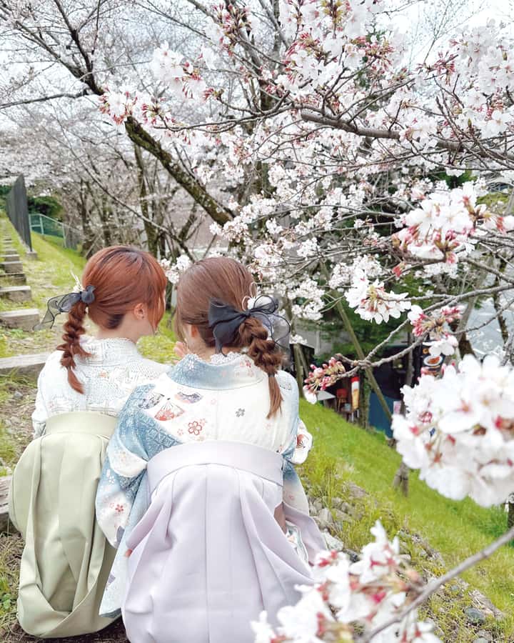 Tokyo Asakusa: Traditional Kimono Rental Experience at Wargo - Price and value: is $33 worth it?