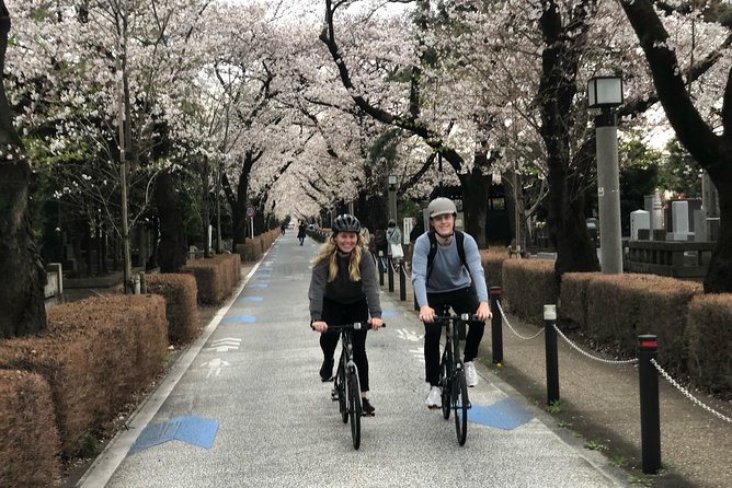 Tokyo Bike Tour: Shibuya & Hidden Tokyo - Meeting point near Yoyogi and Shinjuku, plus what the ride tempo feels like