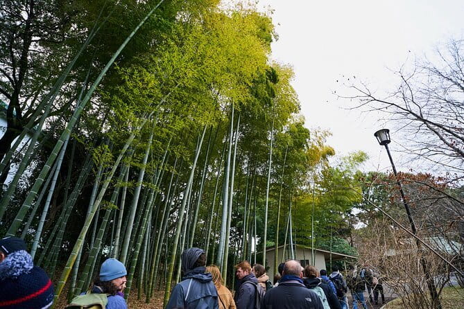 Tokyo Castle & Imperial PalaceーShogun Walking Tour - Why the Imperial Palace feels like Edo Castle, not a museum