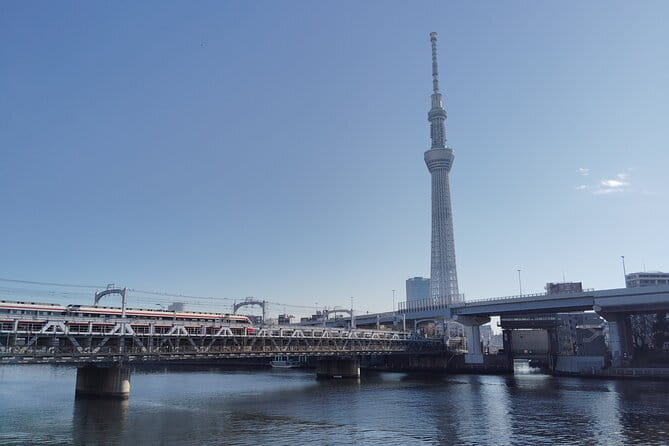 Tokyo Castle & Imperial PalaceーShogun Walking Tour - Sakurada Tatsumi Yagura: the first taste of Edo Castle’s design thinking