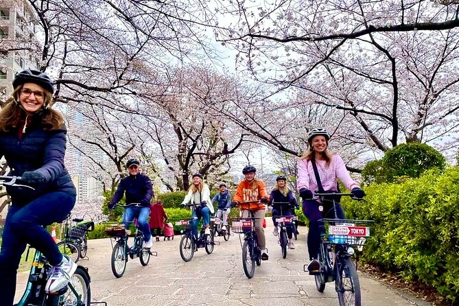 Tokyo Cherry Blossoms blooming spots E-bike Tour, 3hrs - Key highlights you will actually feel on the ride