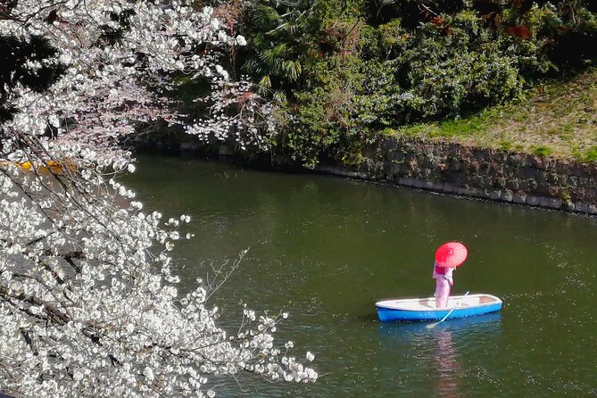 Tokyo Cherry Blossoms blooming spots E-bike Tour, 3hrs - Yasukuni Shrine park break: blossoms plus atmosphere